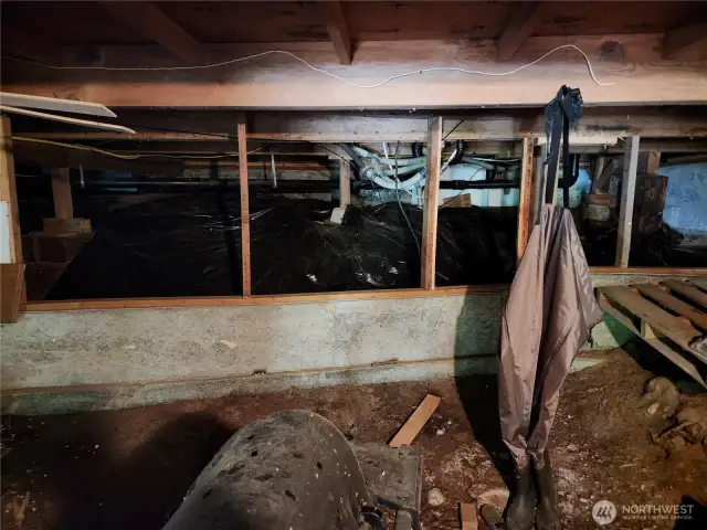 back of the under house area