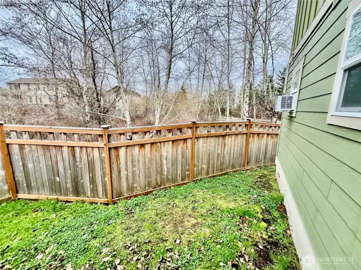 Fenced backyard