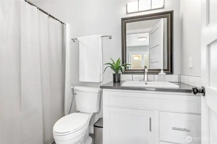 Main bathroom off the hallway.