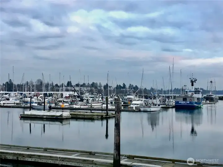 Blaine Marina for your boating needs...