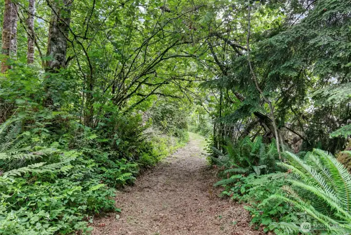 Easement to lake access