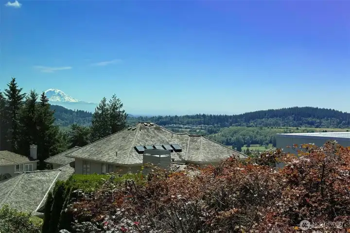 View of Mt Rainier. View of Mt Rainier.