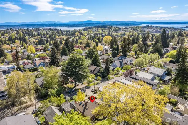 Location, location, location... you are close to Lake Washington, UW, and plenty of places to walk to eat, drink, and play.
