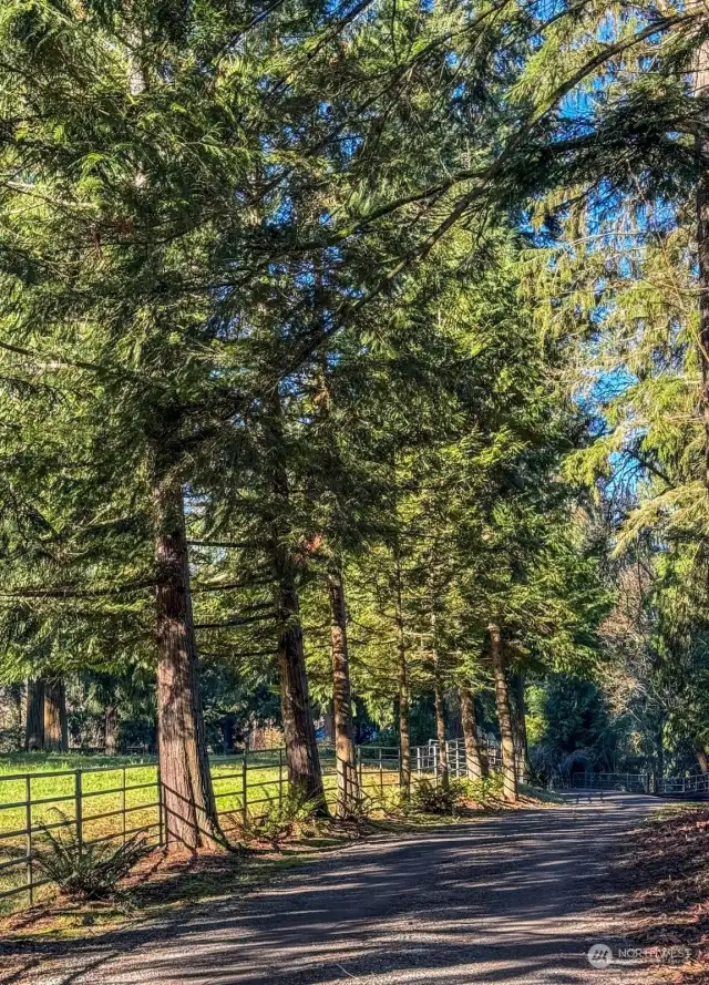 Once through your private gate, a beautiful long driveway will lead you home.