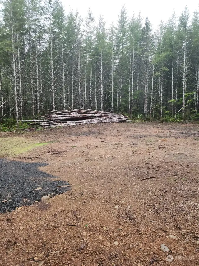 Beginning of clearing. Logs will remain for your own firewood!