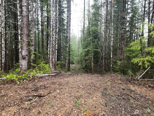 Pathway toward back of property cleared by seller to possibly make way for an ADU or trails