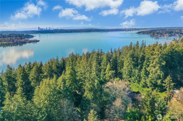 Home is Less than 1/4 mile to Lake.Washington….hikers and kayakers rejoice!