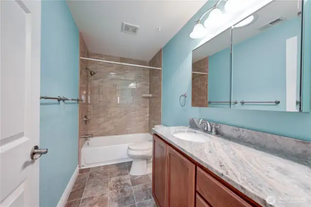 Guest hall bathroom.
