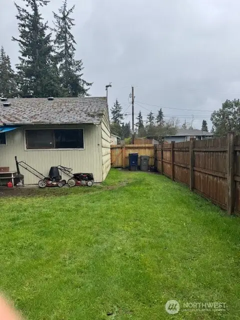 Back yard 2.