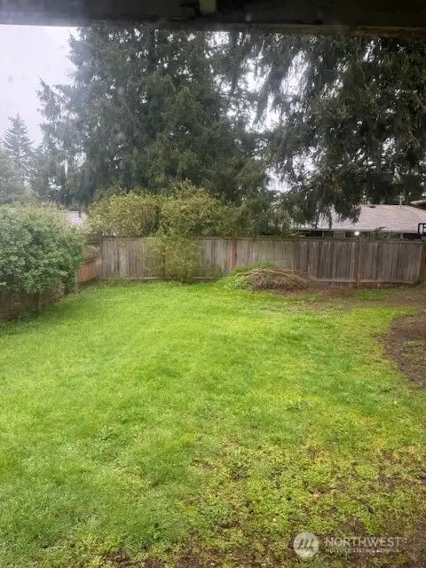 Back Yard 3.
