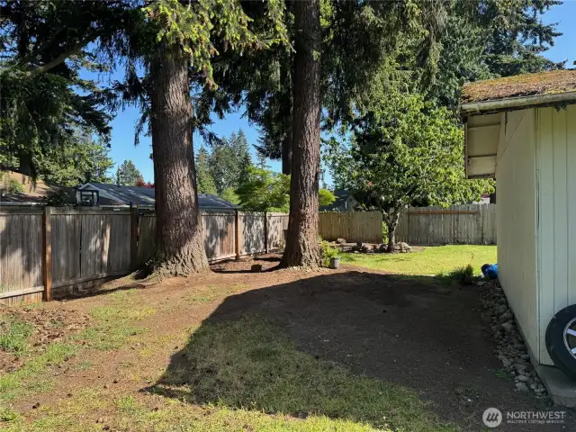 Back Yard.