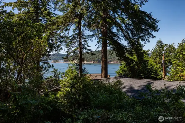 View from the house