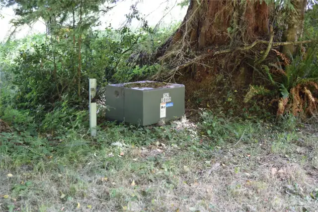 Power is in!
