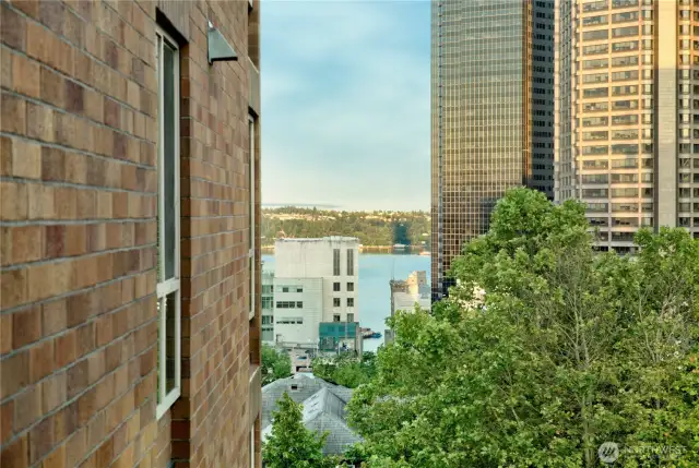 Bay view out West window