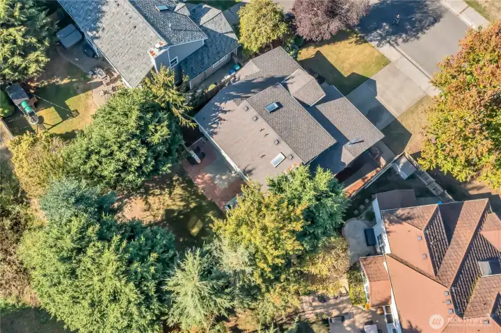Backyard feels private with trees