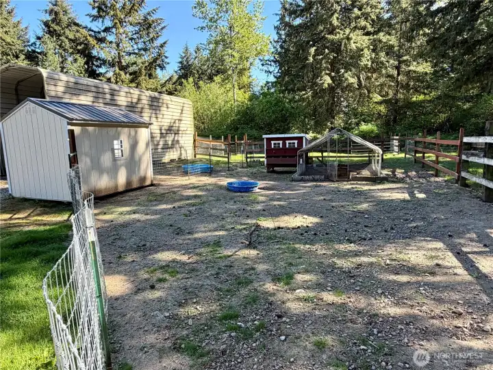 Fenced poultry area with multiple coops