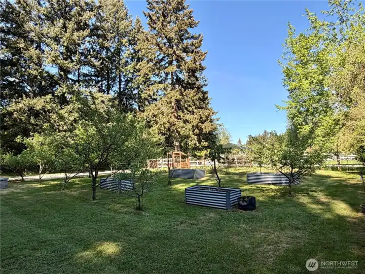 Fruit trees, berries and raised garden beds