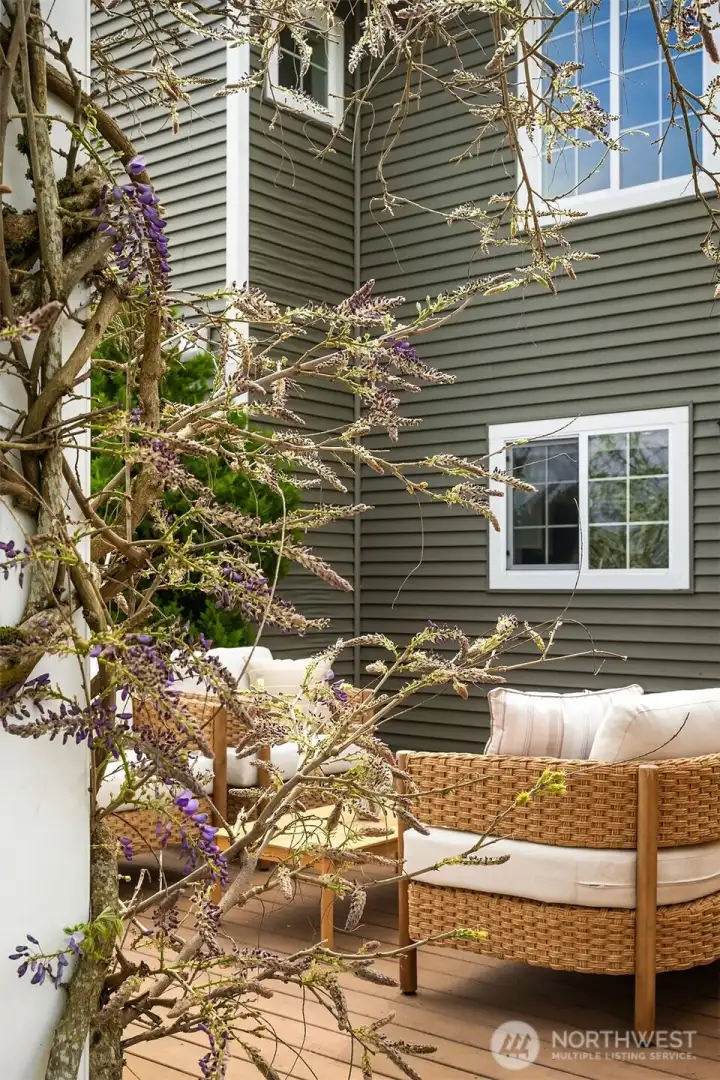 Wisteria-covered pergola.