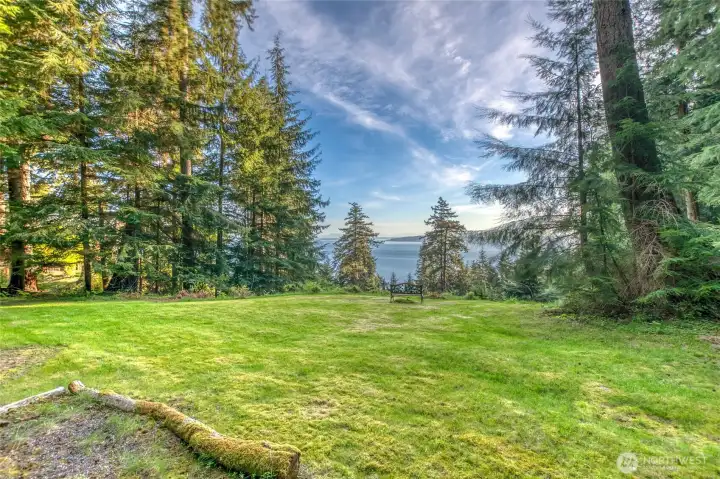 A large level area to plan your next homestead.