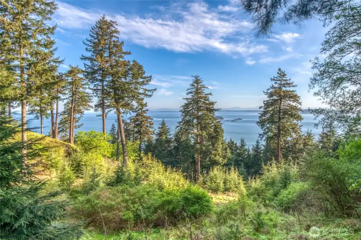 A view for nature observers.