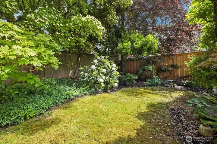 Native plants and thoughtful verdant moments throughout exterior gardens. Native plants and thoughtful verdant moments throughout exterior gardens.