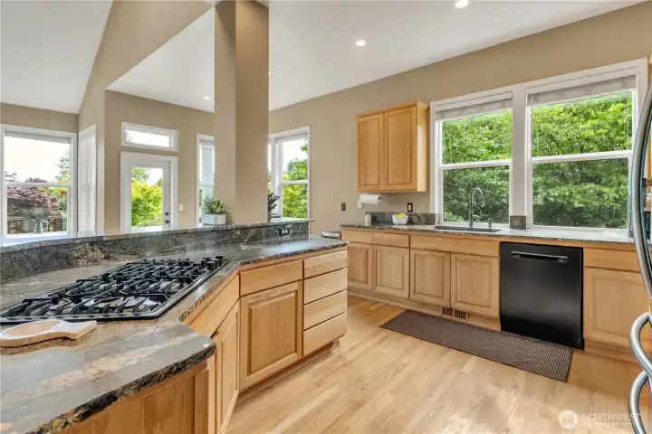 Beautiful granite countertops in the kitchen