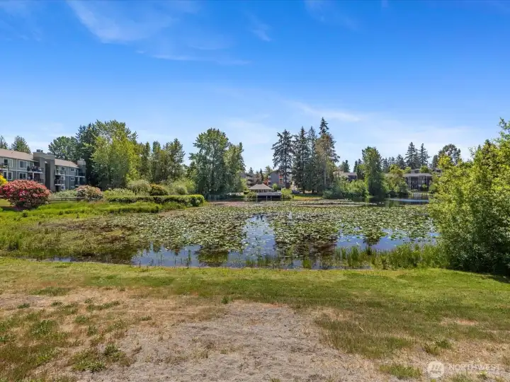 Beautiful community lake