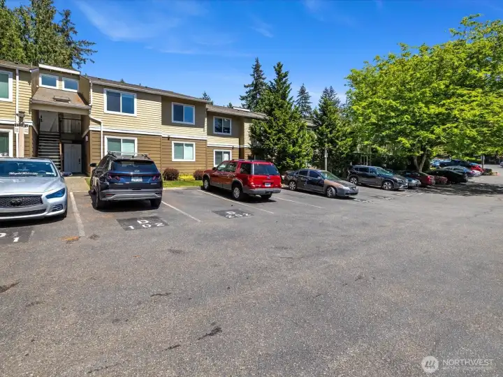 1 designed parking spot