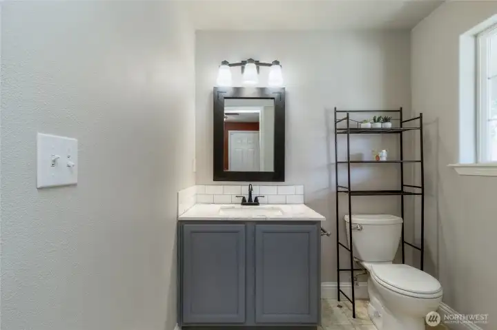 Lower Level Guest Bath