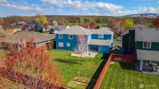Fully Fenced Back yard