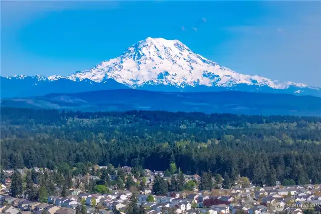Mount Rainier!