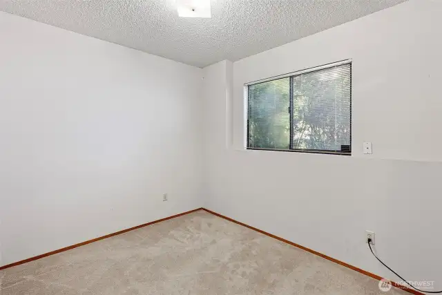 Bedroom #3 on the lower level