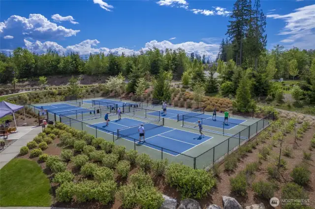 Join a league or play with friends, Pickleball is fun and great exercise!