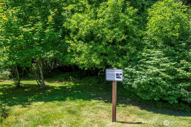 Looking into the Greenbelt Preservation Area