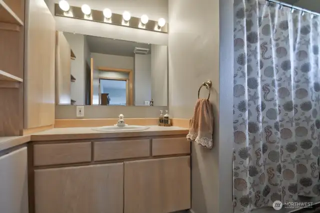 main floor guest bath with ample storage, large mirror and bright lighting perfect for visitors and daily use