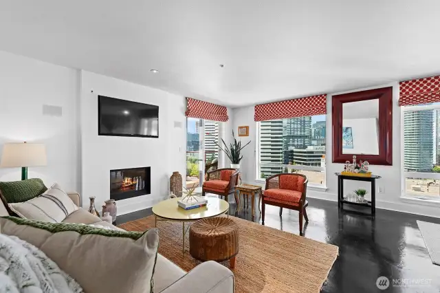 Living room, gas fireplace.