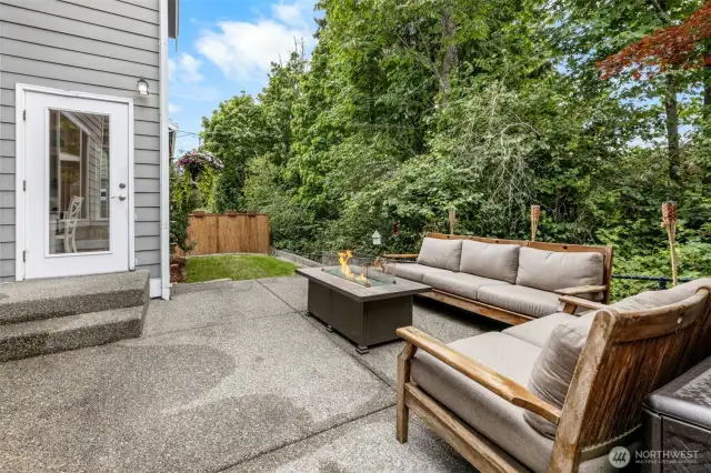 Amazing Privacy in Back Yard