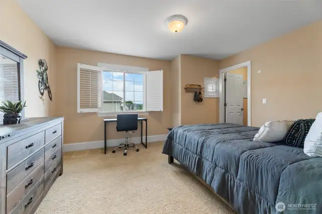 2nd Bedroom with Walk-in Closet