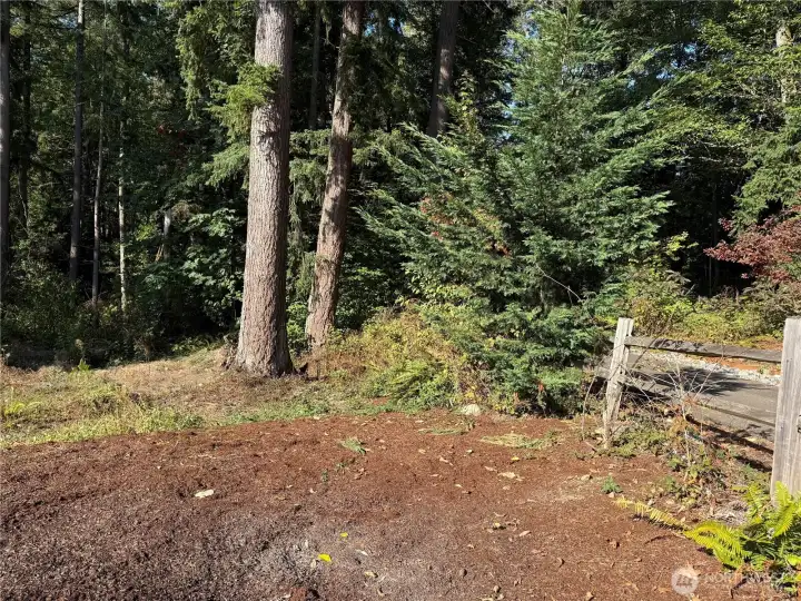 2 acres of backyard!