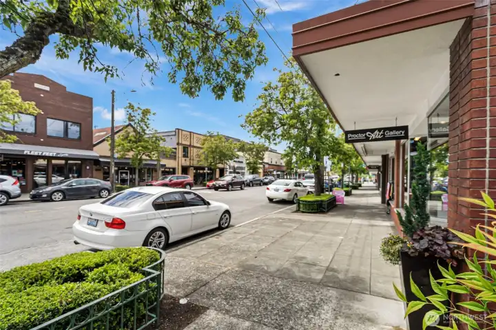 Proctor district