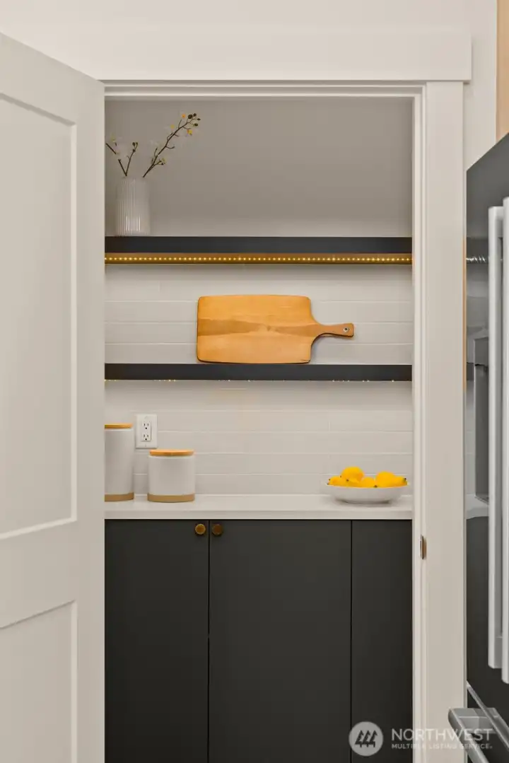 Walk-in pantry with thoughtful storage.