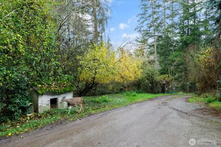 Gated entry. Deer love to meander through