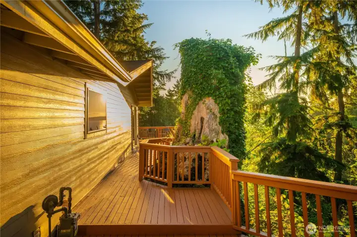 this is the north side of the house looking west to the back of the yard side deck also the house has a door off the garage on  this side of the home