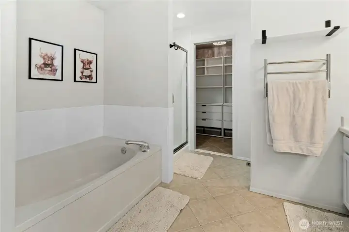Primary bath with resurfaced shower and tub