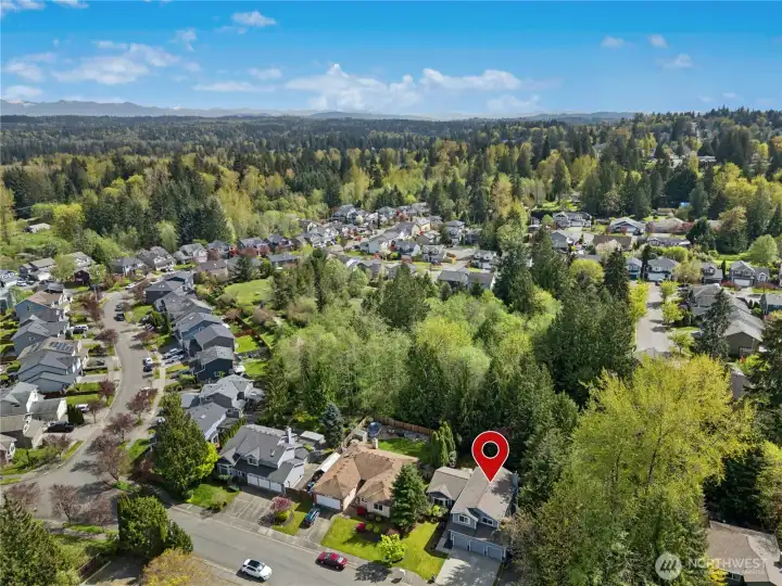 Aerial perspective of quiet, established neighborhood