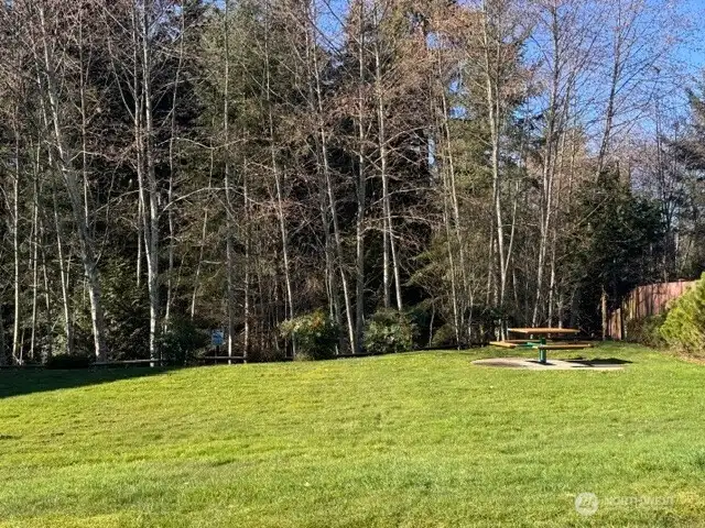 Community Picnic Area