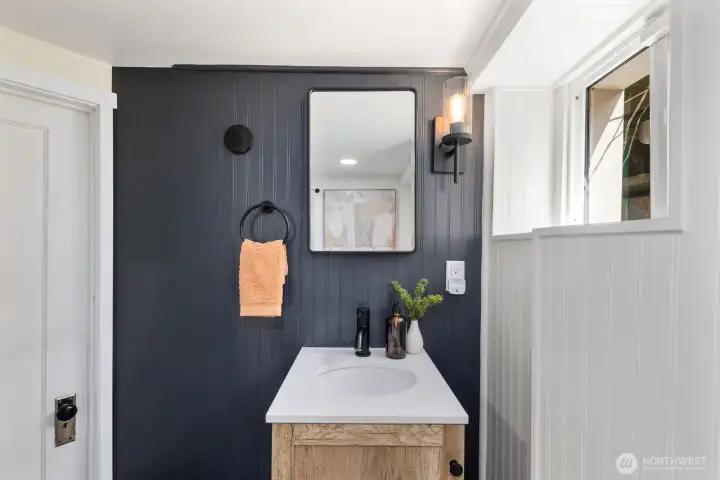 Lower level bathroom