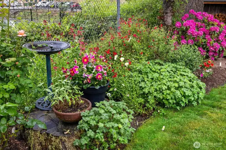 The garden is already doing the heavy lifting with perennials that come back year after year. Translation: future you gets to look like a gardening genius with minimal effort.