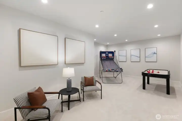 lower level bonus room