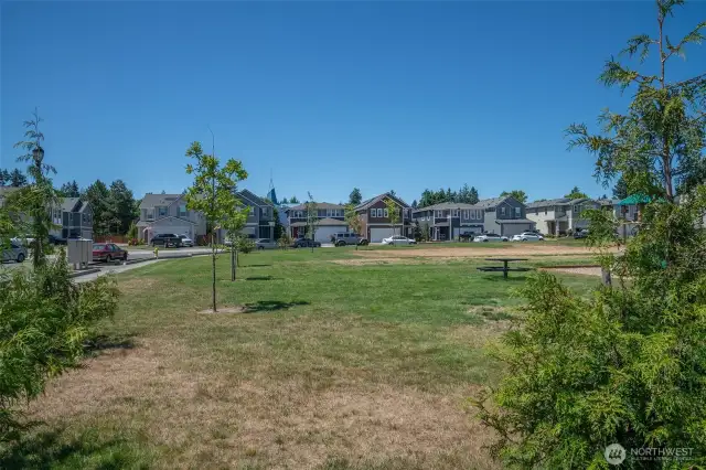 Home across the community park